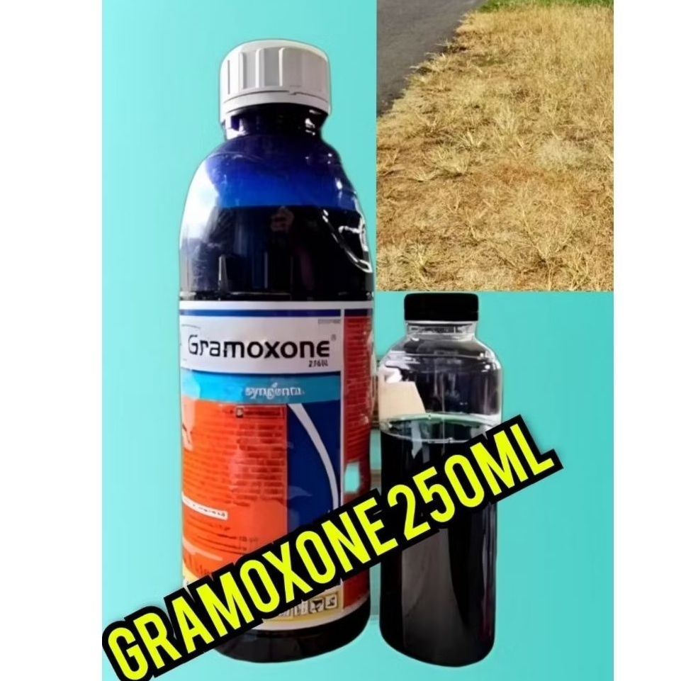 obat rumput gramoxone kemasan 250mL.ampuh membasmi rumput liar