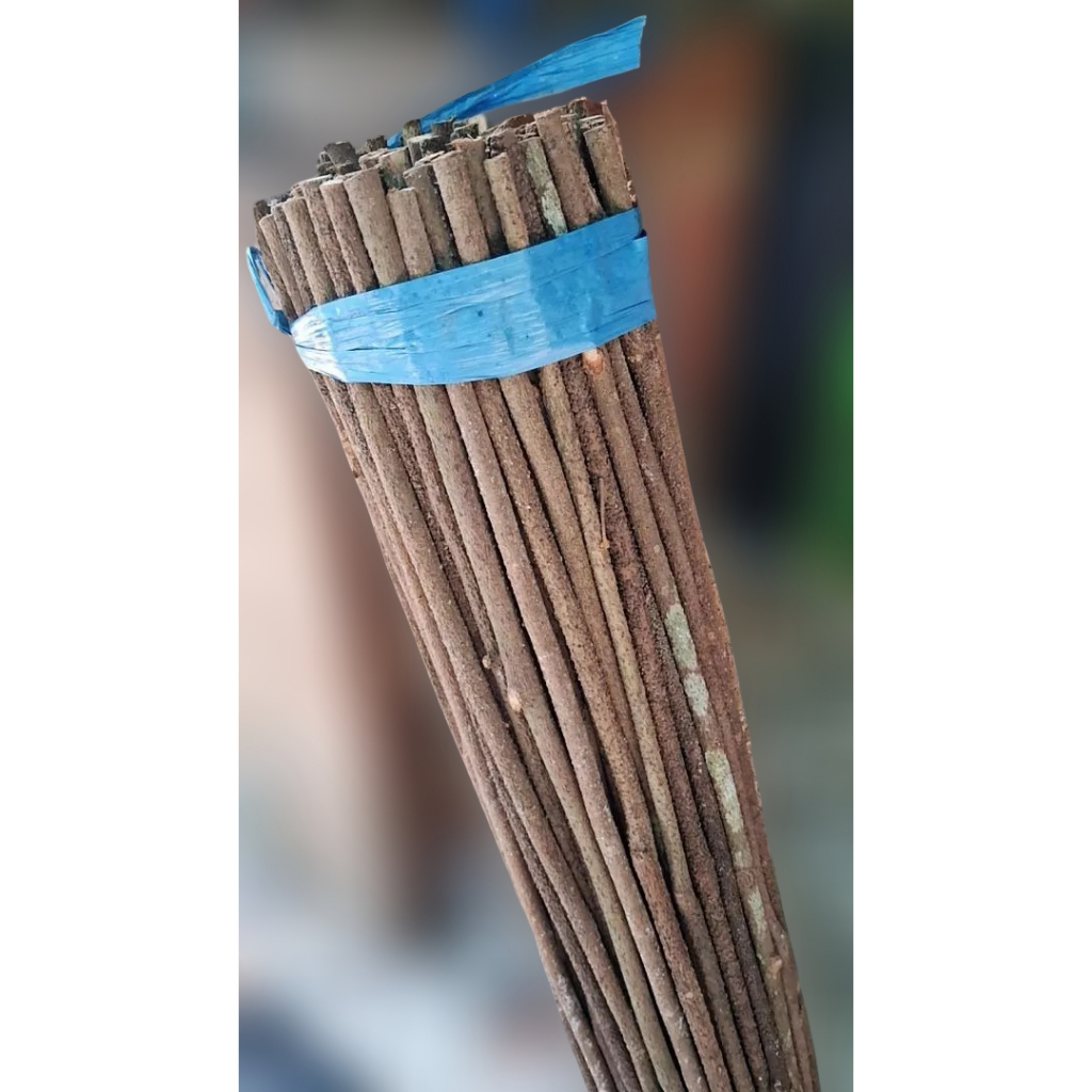 DIYJAVA TANGKRINGAN ASEM BALI SUPER GRADE A Ukuran Burung Kecil 45cm plangkringan tenggeran untuk bu