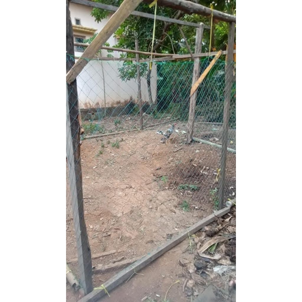 JARING PAGAR AYAM LUBANG 4inc PANJANG 25m JARING AYAM SERBAGUNA PANJANG 25m
