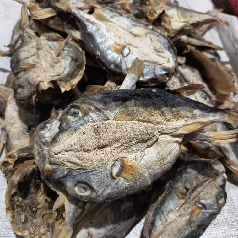 Freshfood bahari Ikan Asin Buntak Asli Gurih & Wangi – 1kg