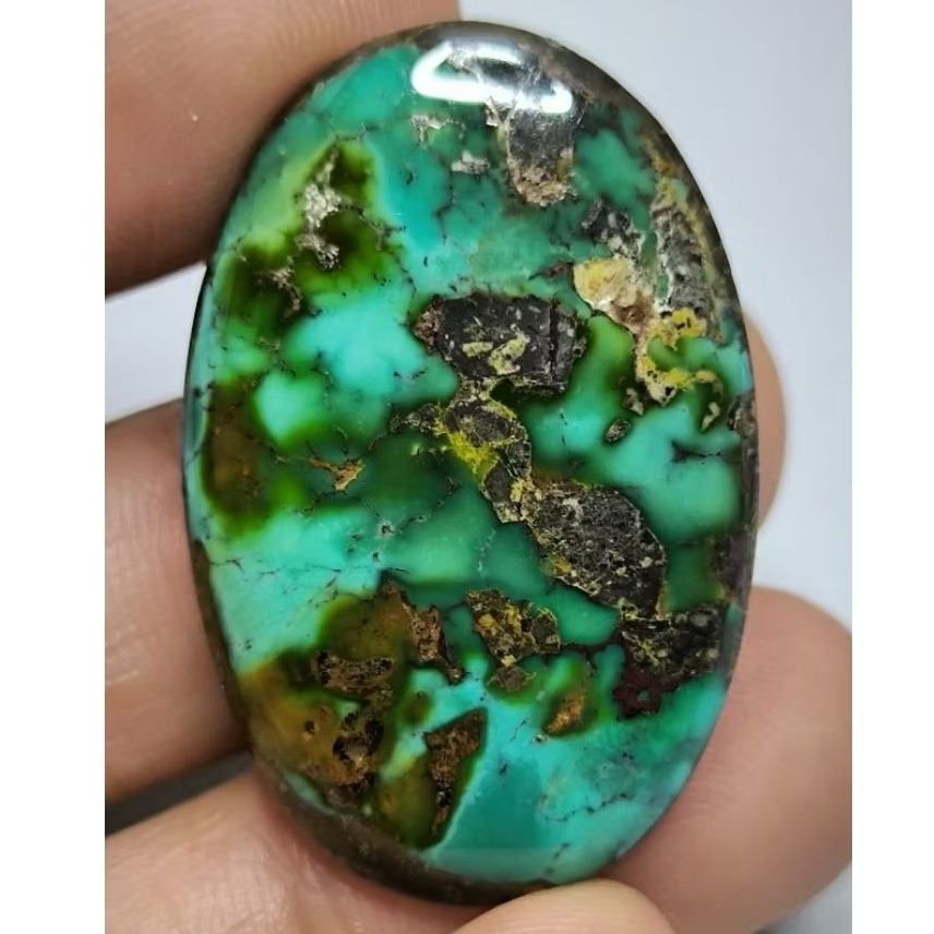 Pirus Persia Hijau Gradasi