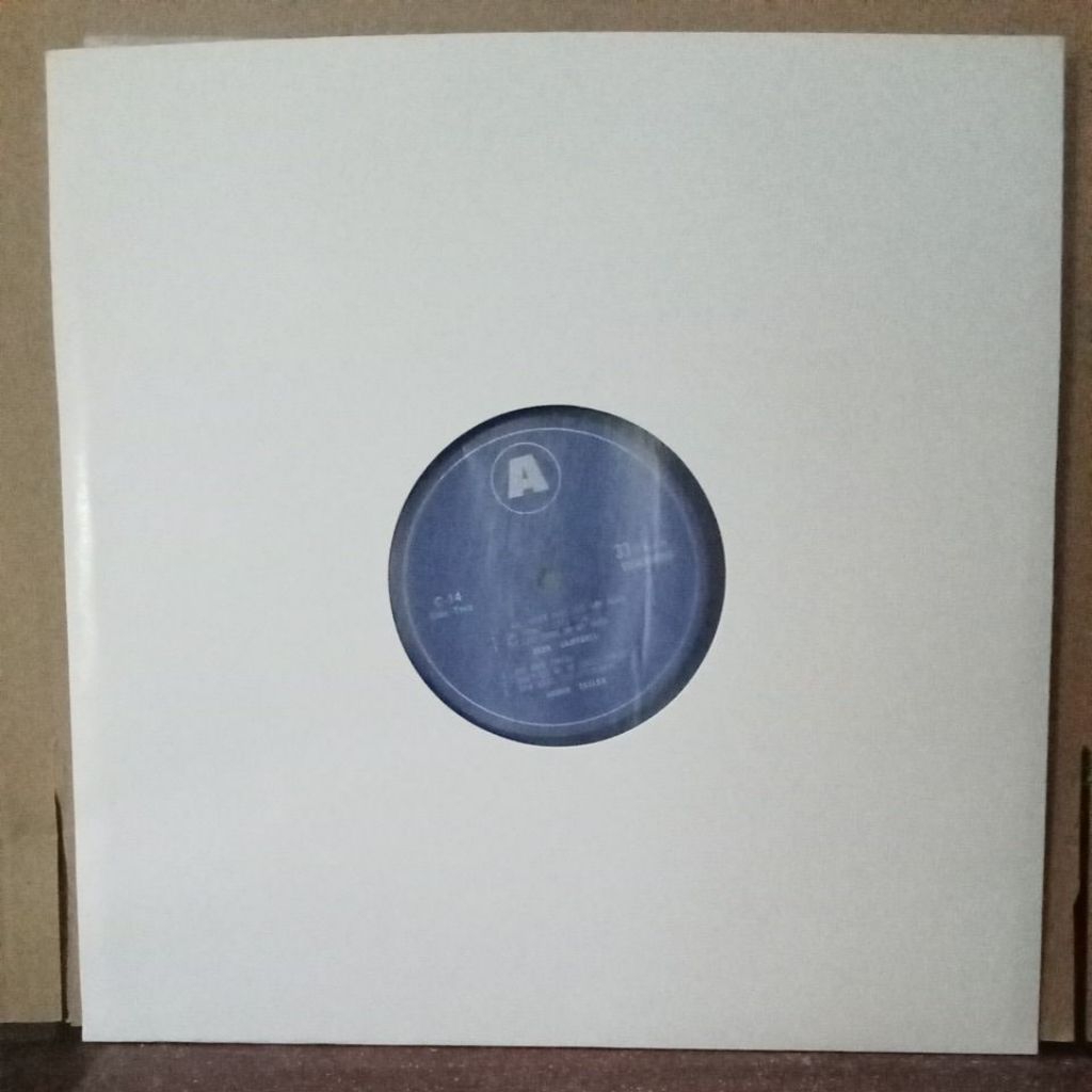 Vinyl Piringan Hitam 12 inch The Hollies - Dan Peek