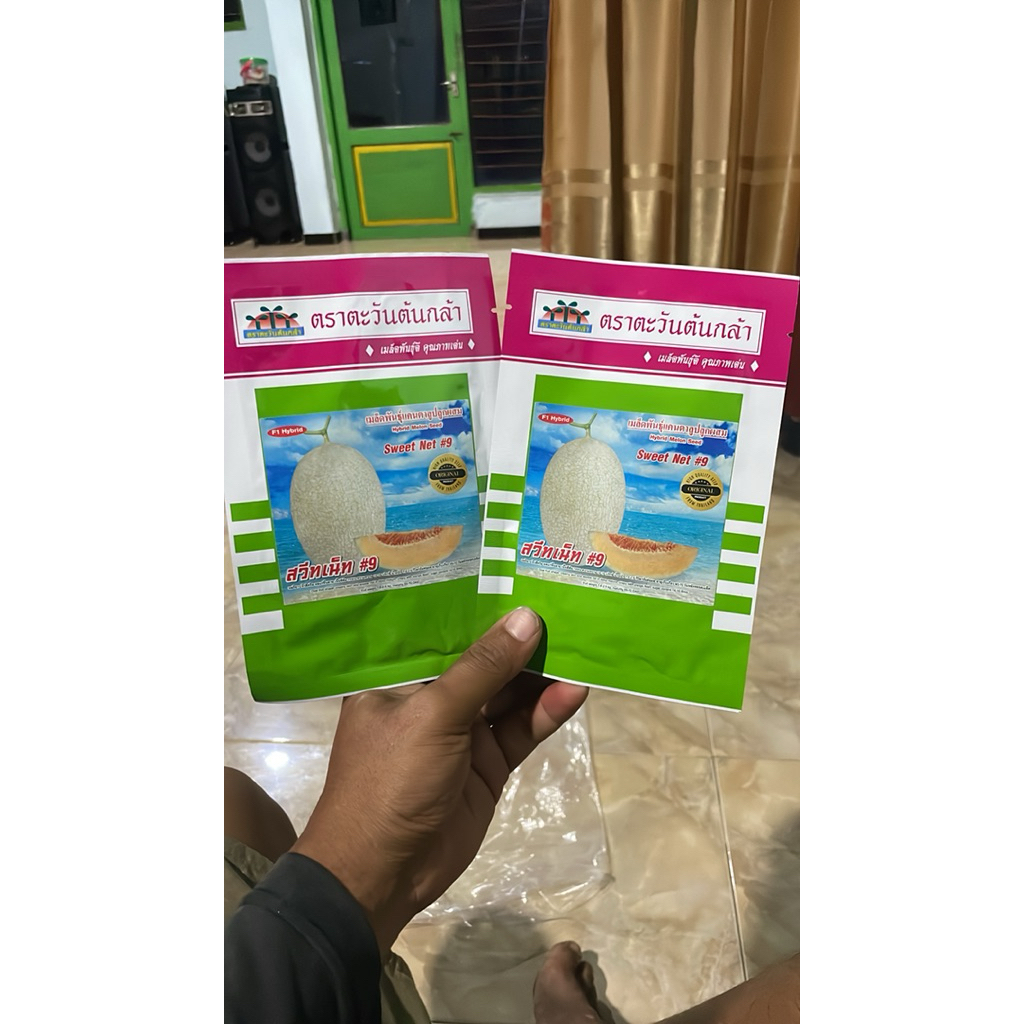 Benih melon premium sweet net9 ori thailand,by advance.