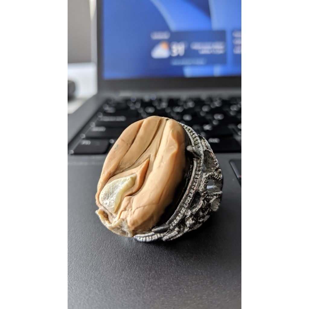 batu akik tundung bawuk antik