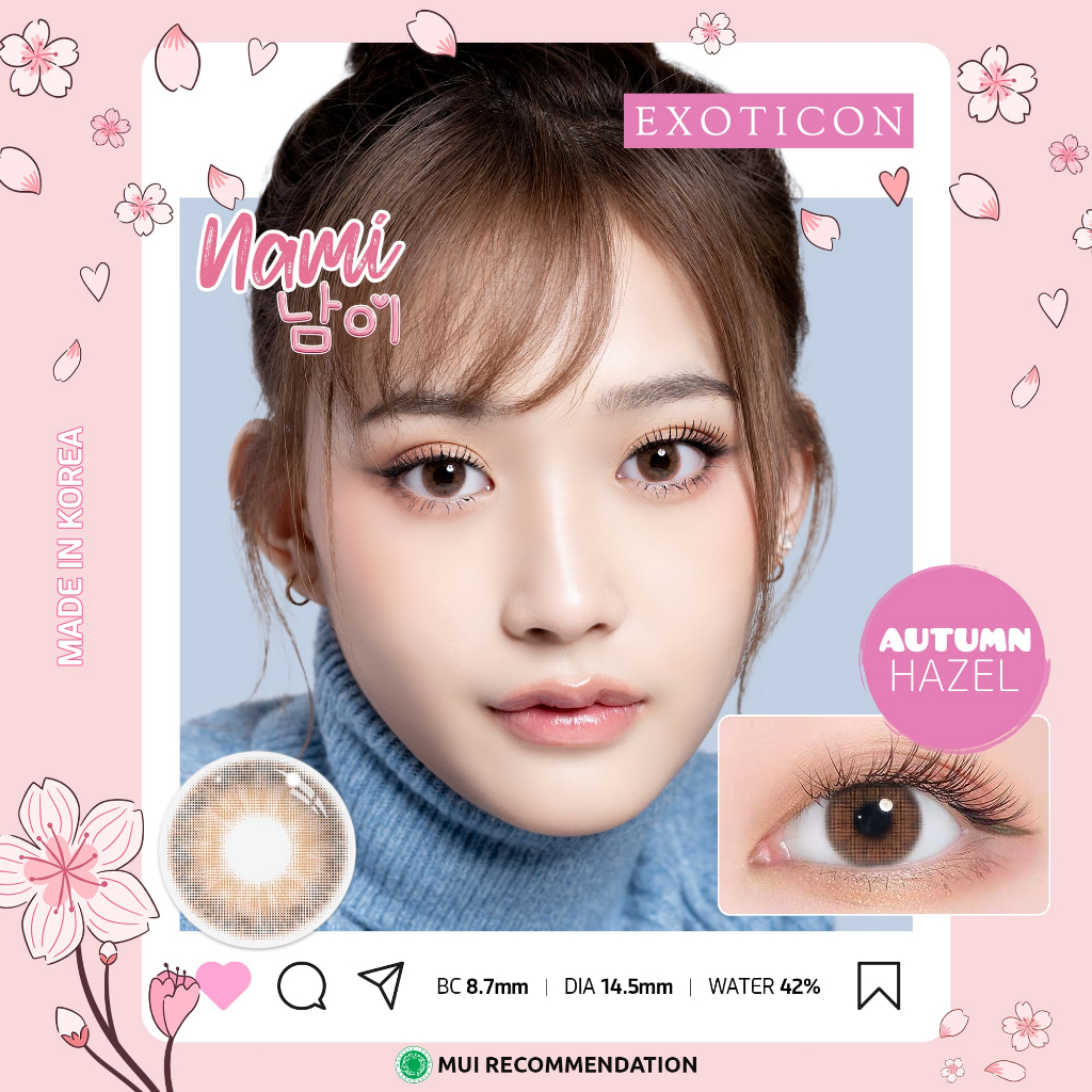 LadyLens | Exoticon Softlens Nami Series Winter | Summer | Spring | Autumn | Storm | Soflens Korea