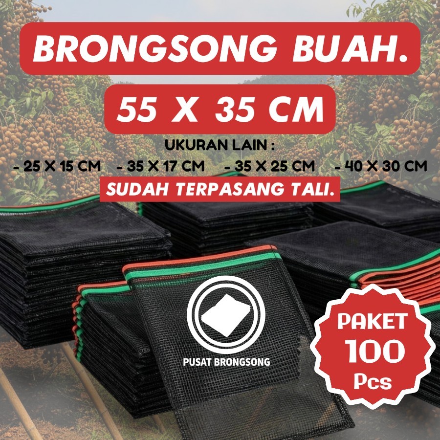 PAKET HEMAT BRONGSONG BUAH KELENGKENG BARU