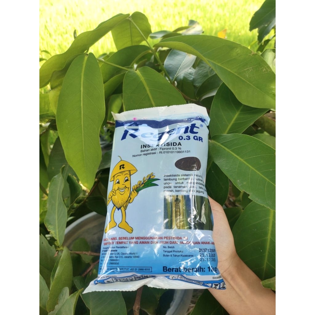 REGENT Obat Hama Sawah 1KG – Pestisida Ampuh Basmi Hama Tanaman Padi & Sayuran