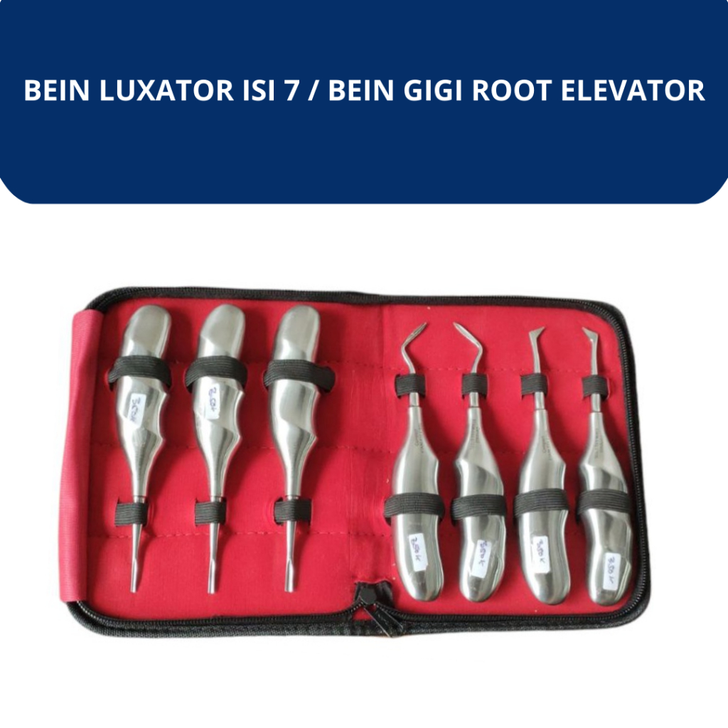 BEIN LUXATOR ISI 7 / BEIN GIGI ROOT ELEVATOR