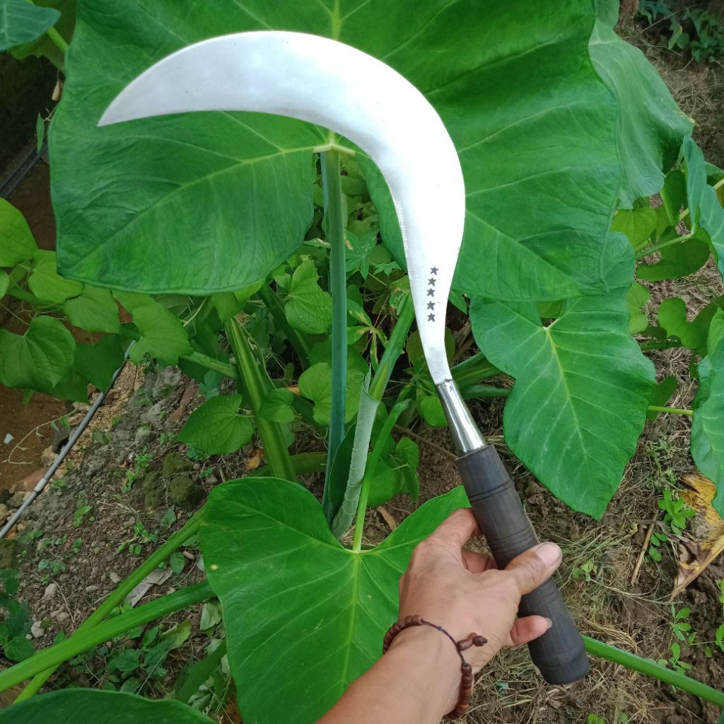 Sabit Modern Bintang 5 Madura Asli Baja 100%