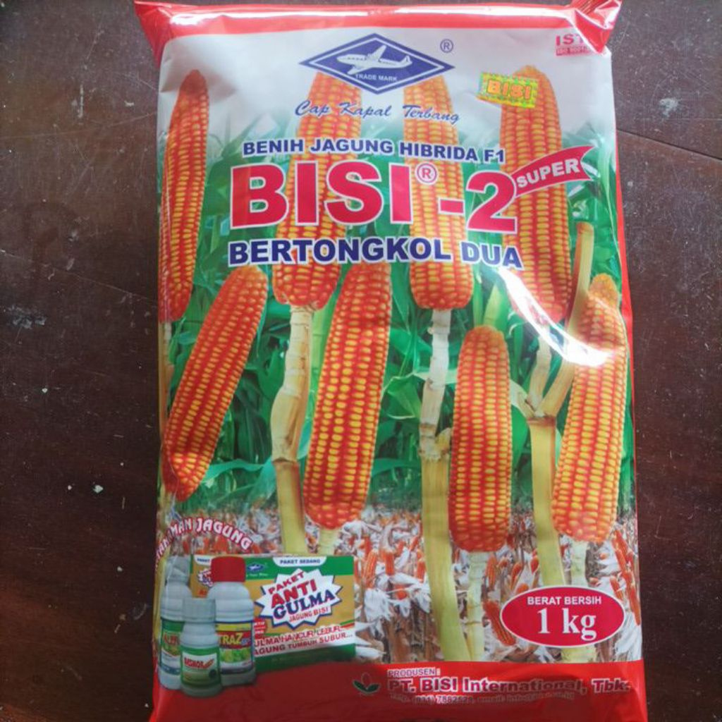 BISI-2 Cap Kapal Terbang