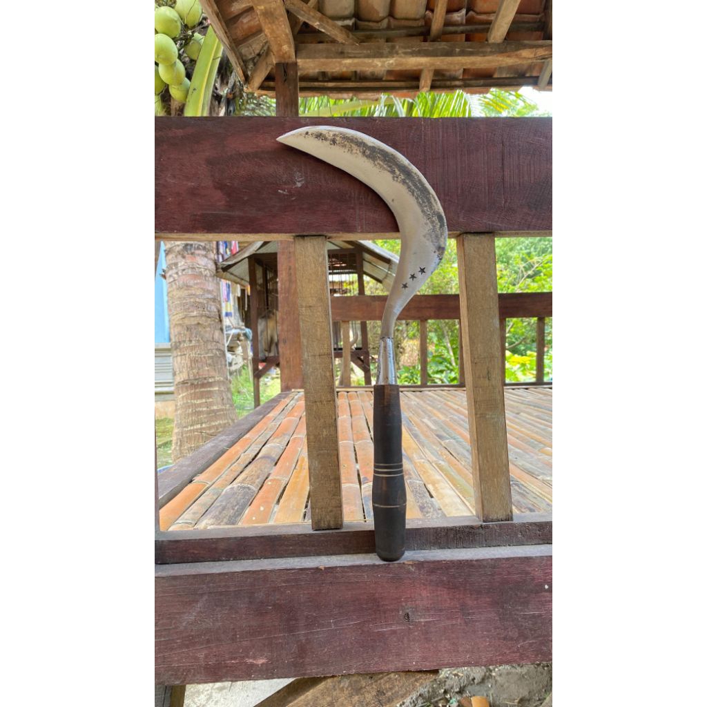 arit bintang 3 buat rumput asli dari baja per asli madura