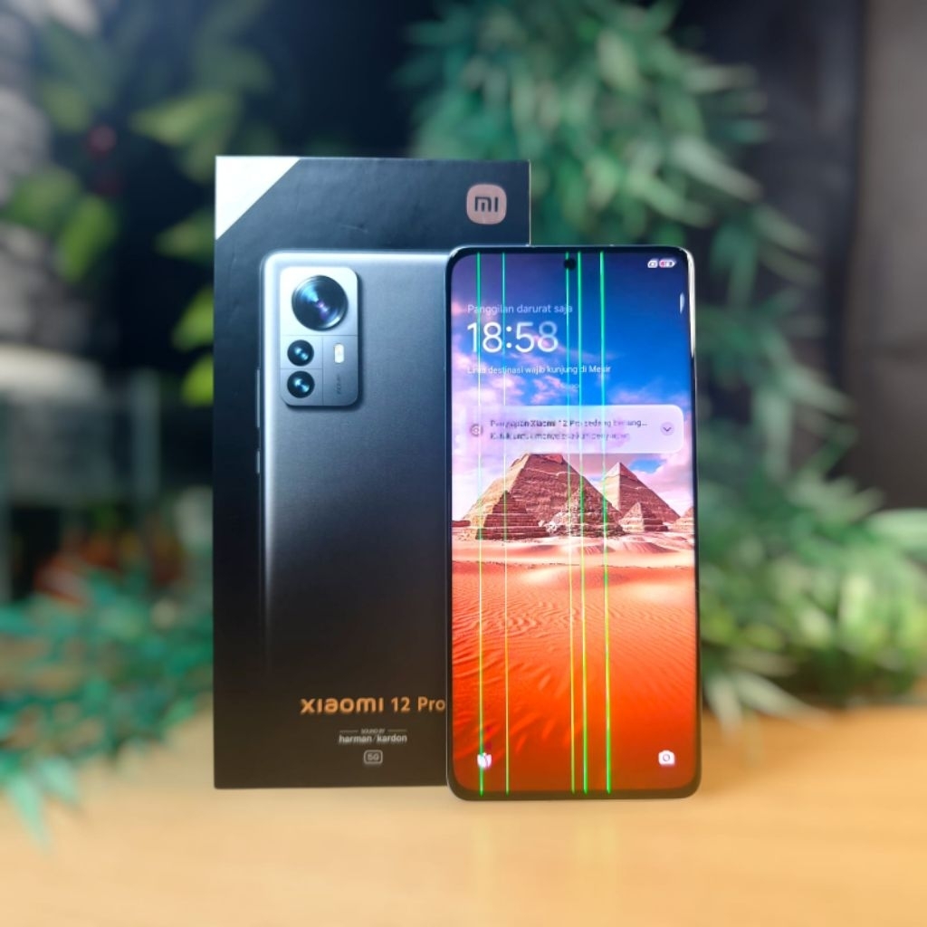 Xiaomi Mi 12 Pro 5G RAM 12+12/256GB Minus