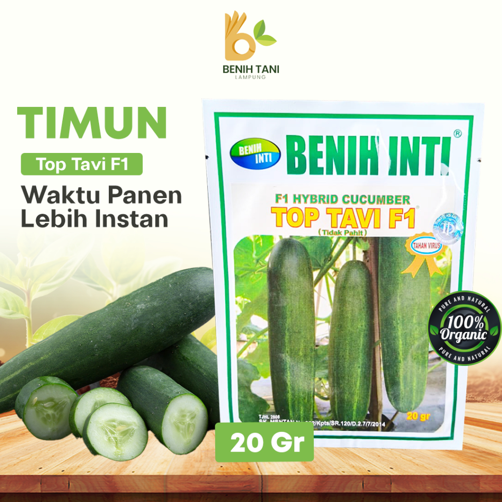 Benih Timun Top Tavi 20gr Benih inti
