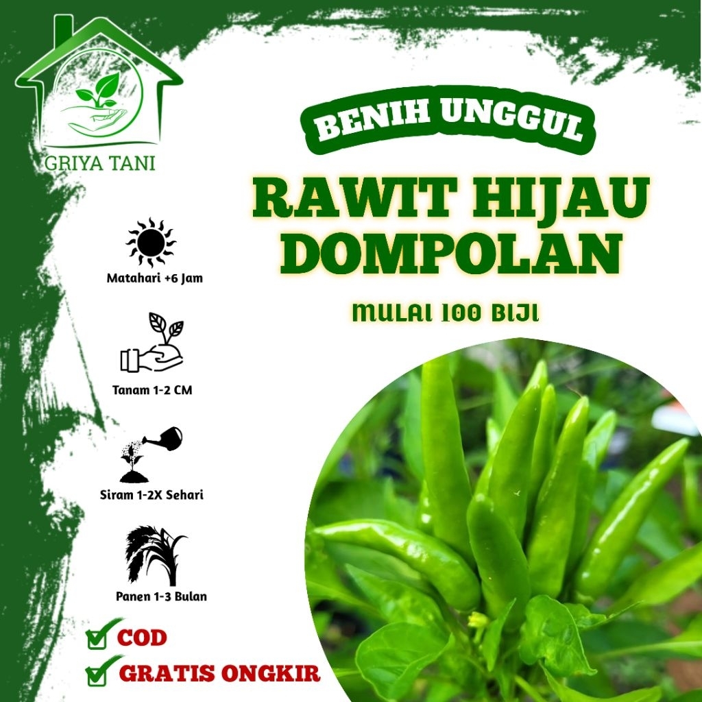 Benih Cabe Rawit Hijau Dompolan - Bibit Cabe Super Lebat Berbuah Gerombol