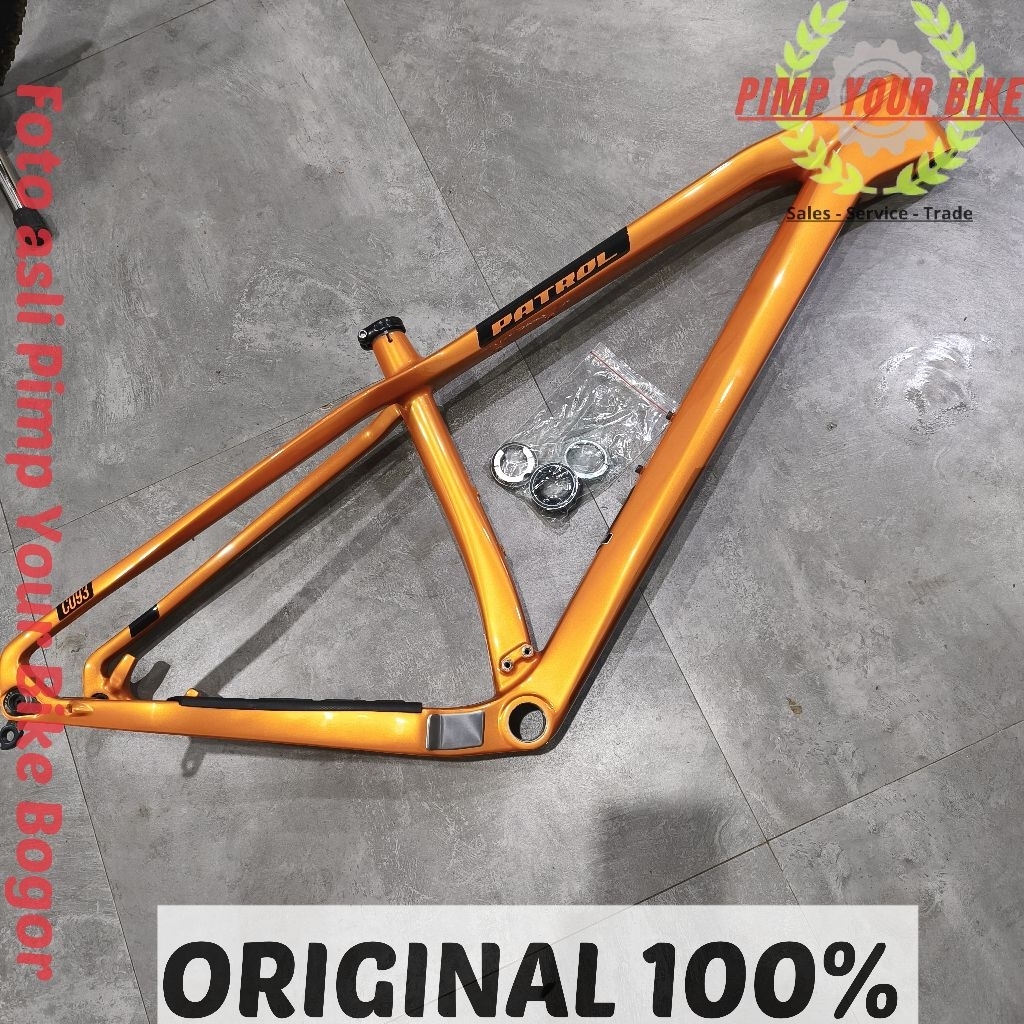 Frame Patrol C093 Carbon size M 29er not cxc syncline 29 kyross