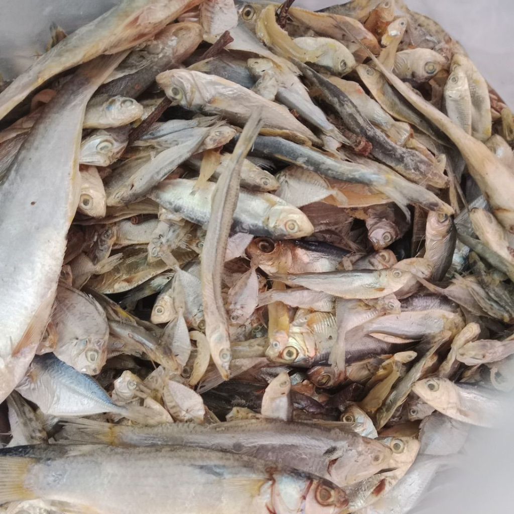 Ikan asin rucah fresh kering campur wader laut berkwalitas (PROMO)