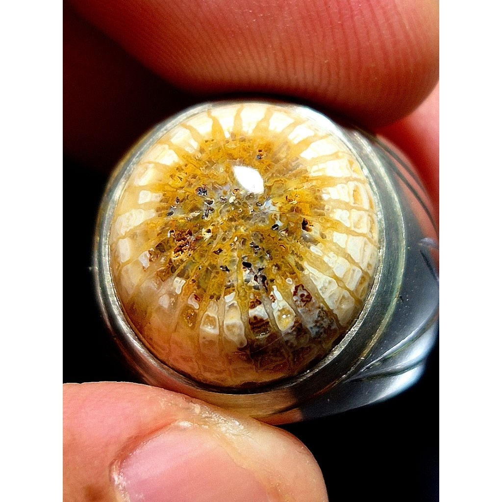 Natural batu akik teratai tunggal dimensi 16.15.10