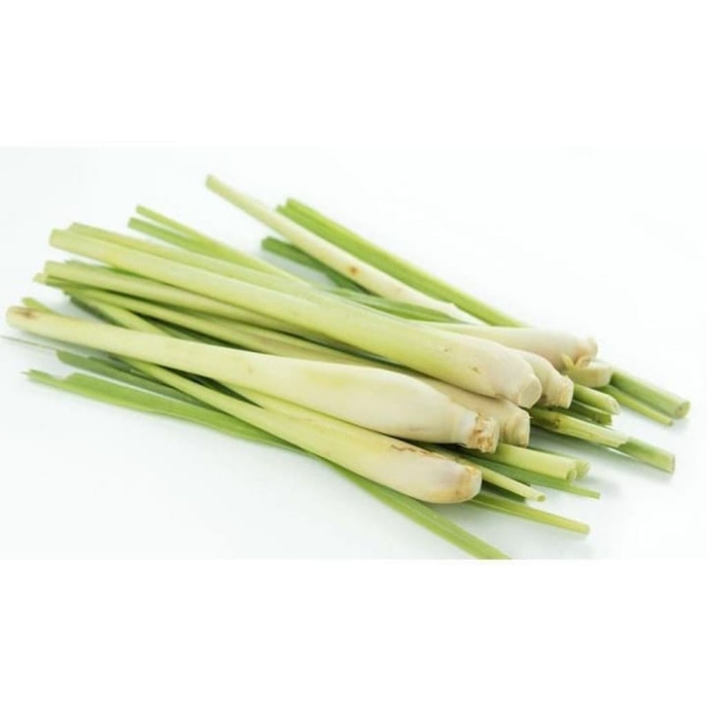 sereh jumbo/sereh gajah 500gram segar