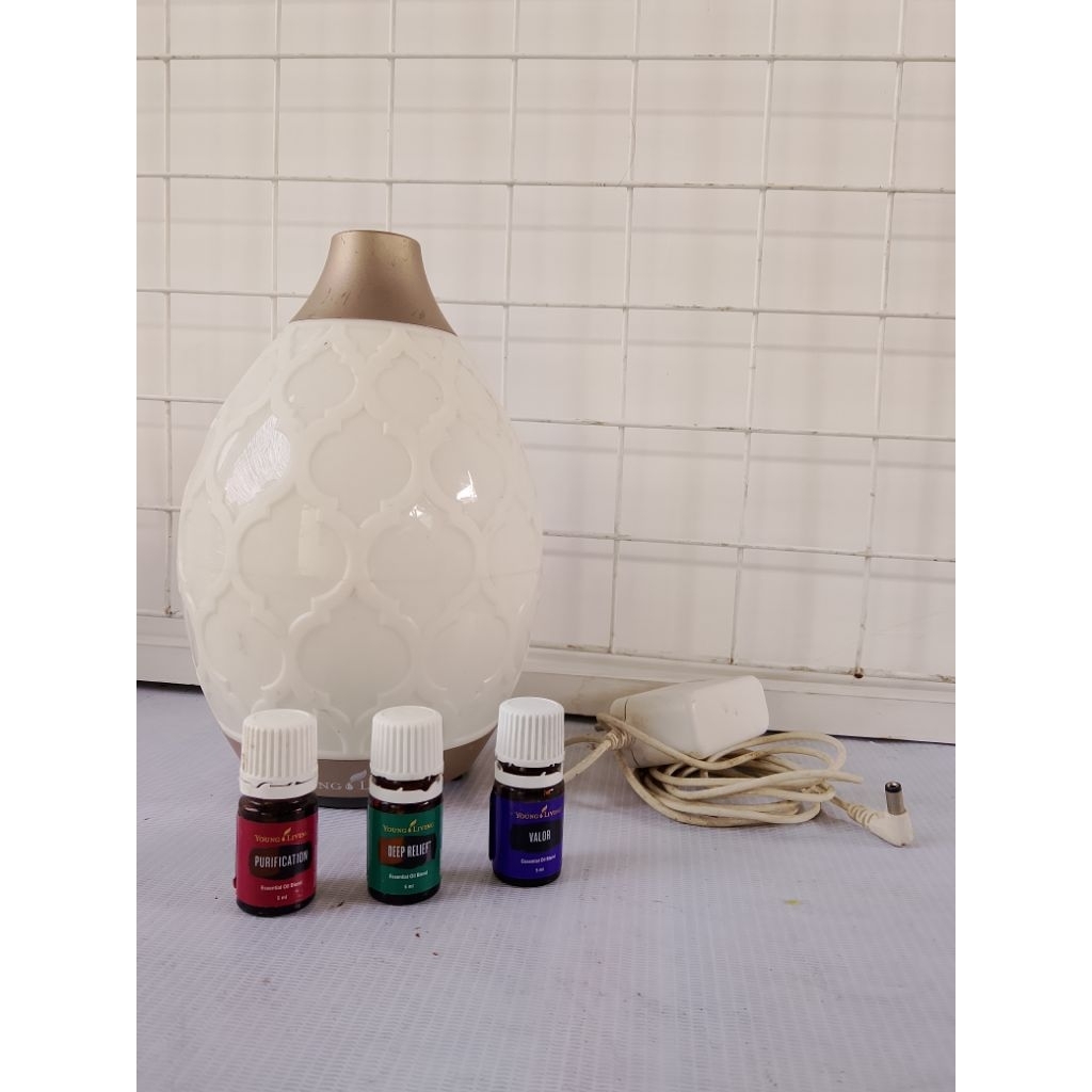 Diffuser Young Living Dessert Mist (Preloved)