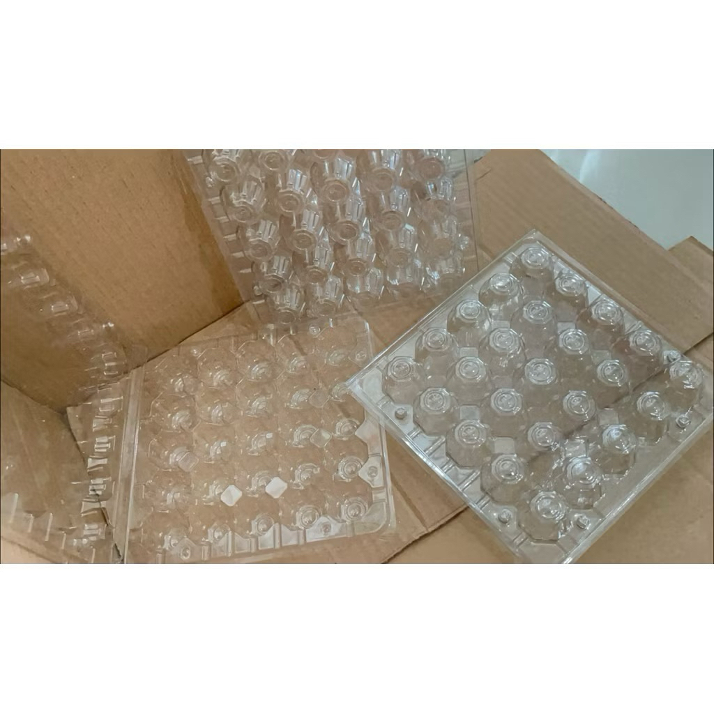 HAPPY GROSIR [1PCS] Mika Telur Puyuh | Tray Mika Bening Telur Puyuh Isi 20Butir | Mika Telur Puyuh D