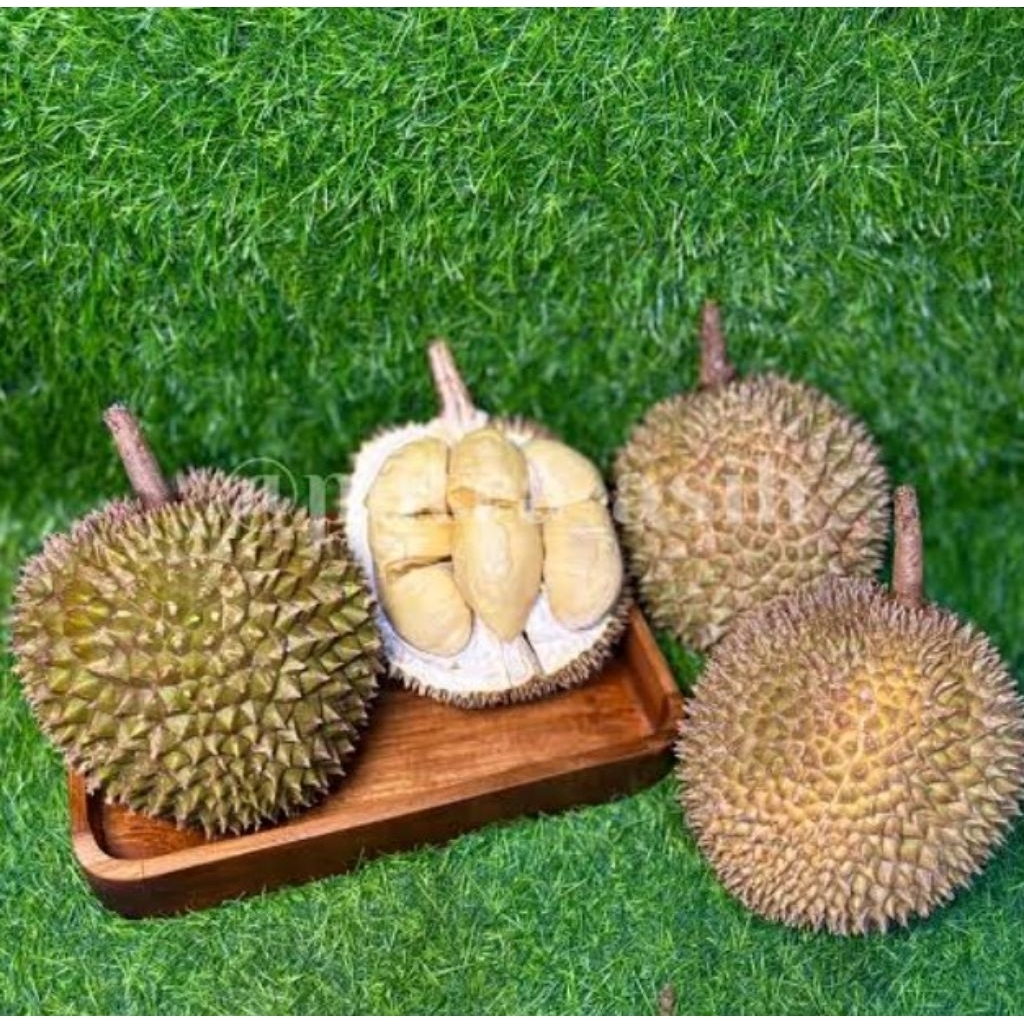 PROMO.. PAKET 3 DURIAN MEDAN / BUAH DURIAN MEDAN UTUH FRESH