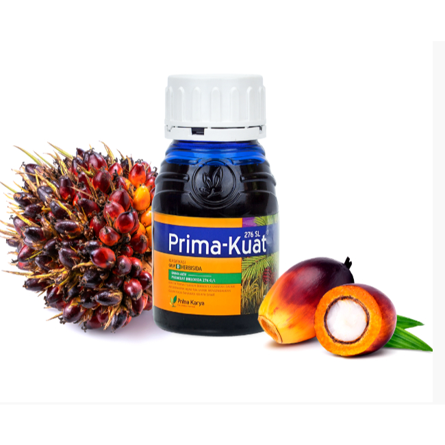 HERBISIDA - PRIMA KUAT 276 SL - 1 LITER