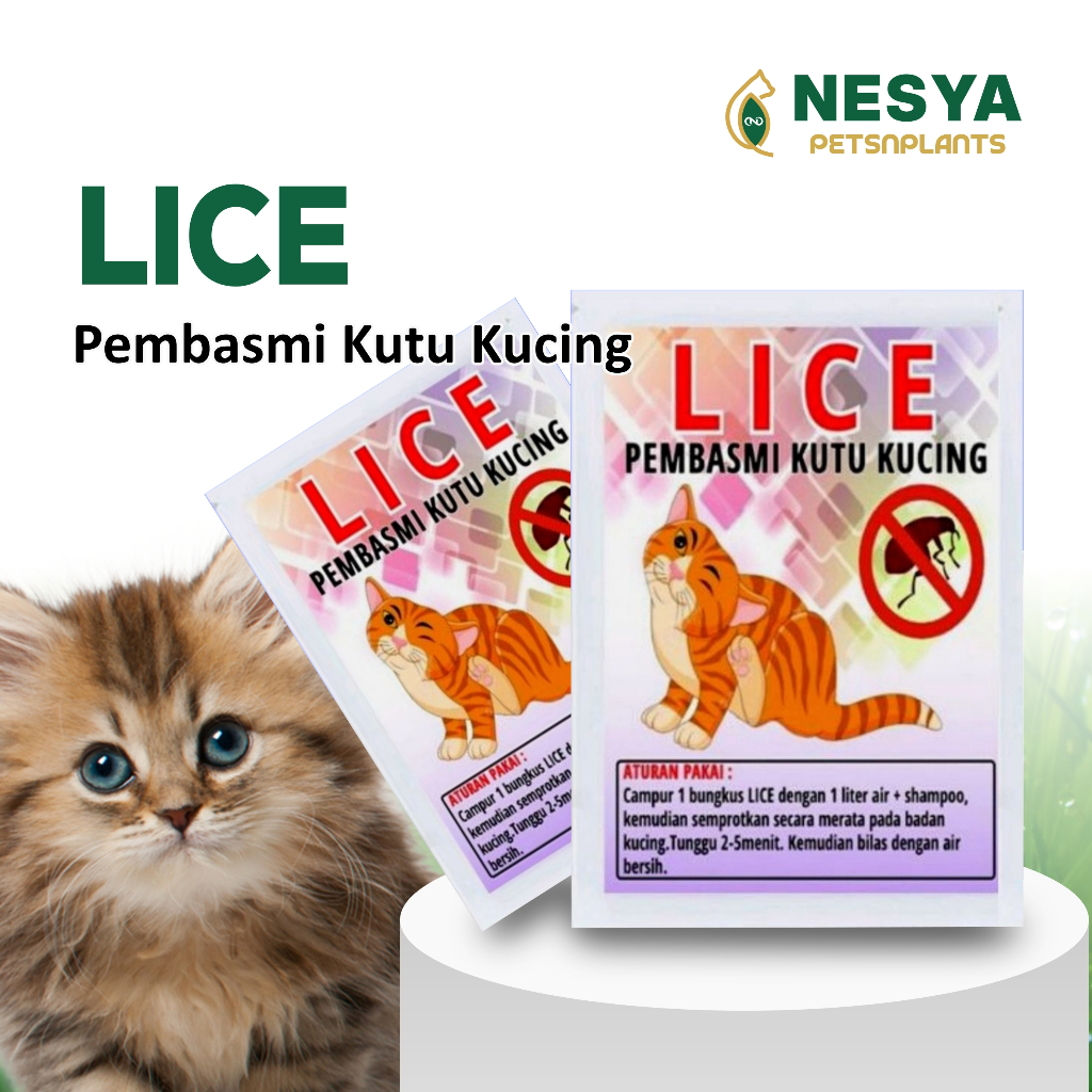 LICE Obat Anti Kutu Kucing Pembasmi Kutu Kitten