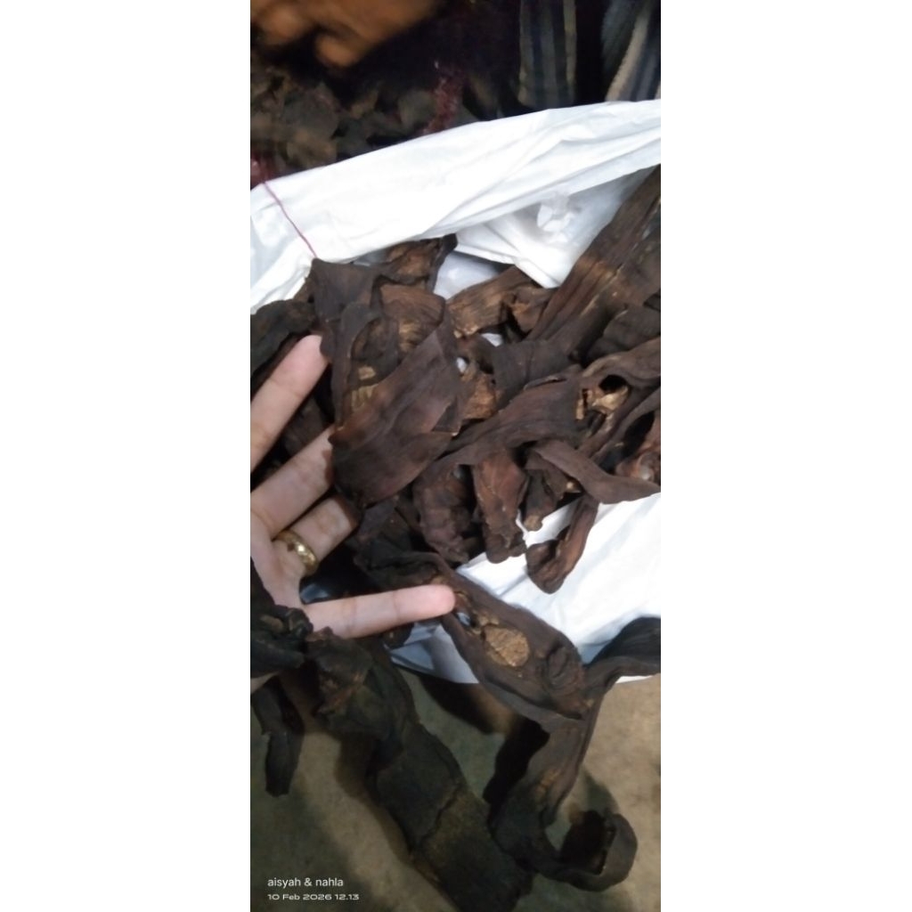 krecek rebung atau rebung kering asli