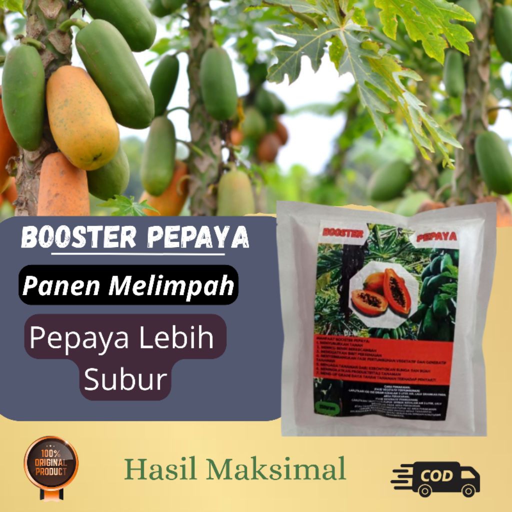 pupuk organik pepaya pupuk booster pepaya perangsang buah melebatkan menyuburkan
