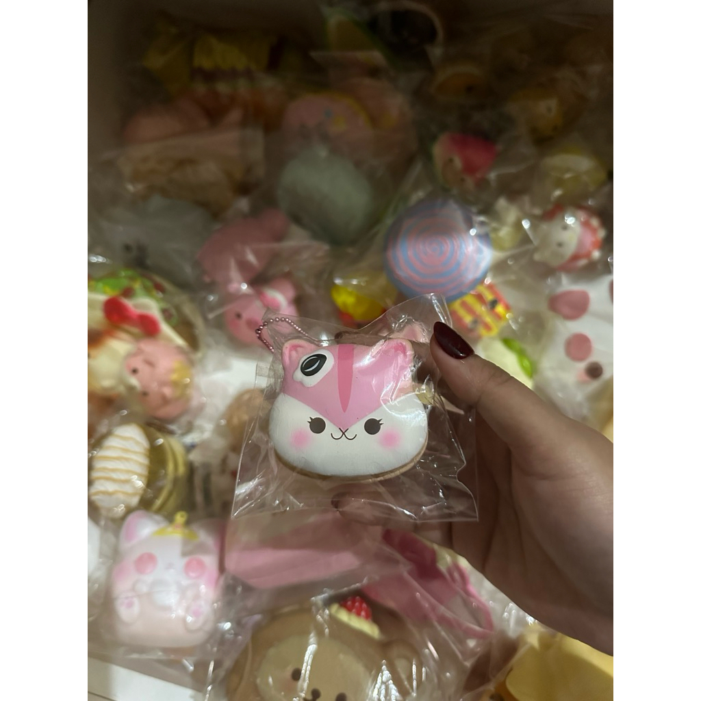 squishy poli pancake