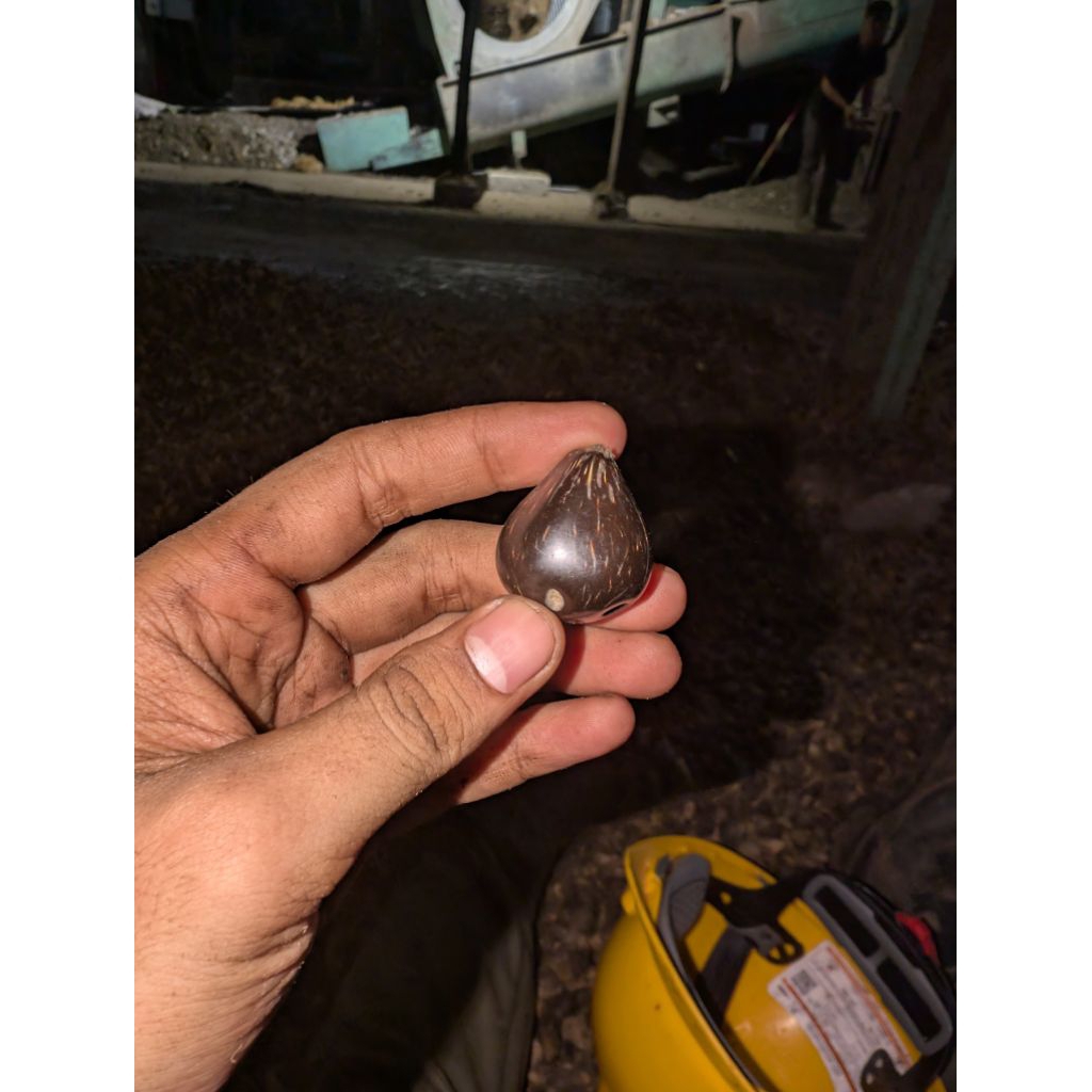 MENTAHAN CANGKANG SAWIT SUDAH HALUS UNTUK KERAJINAN