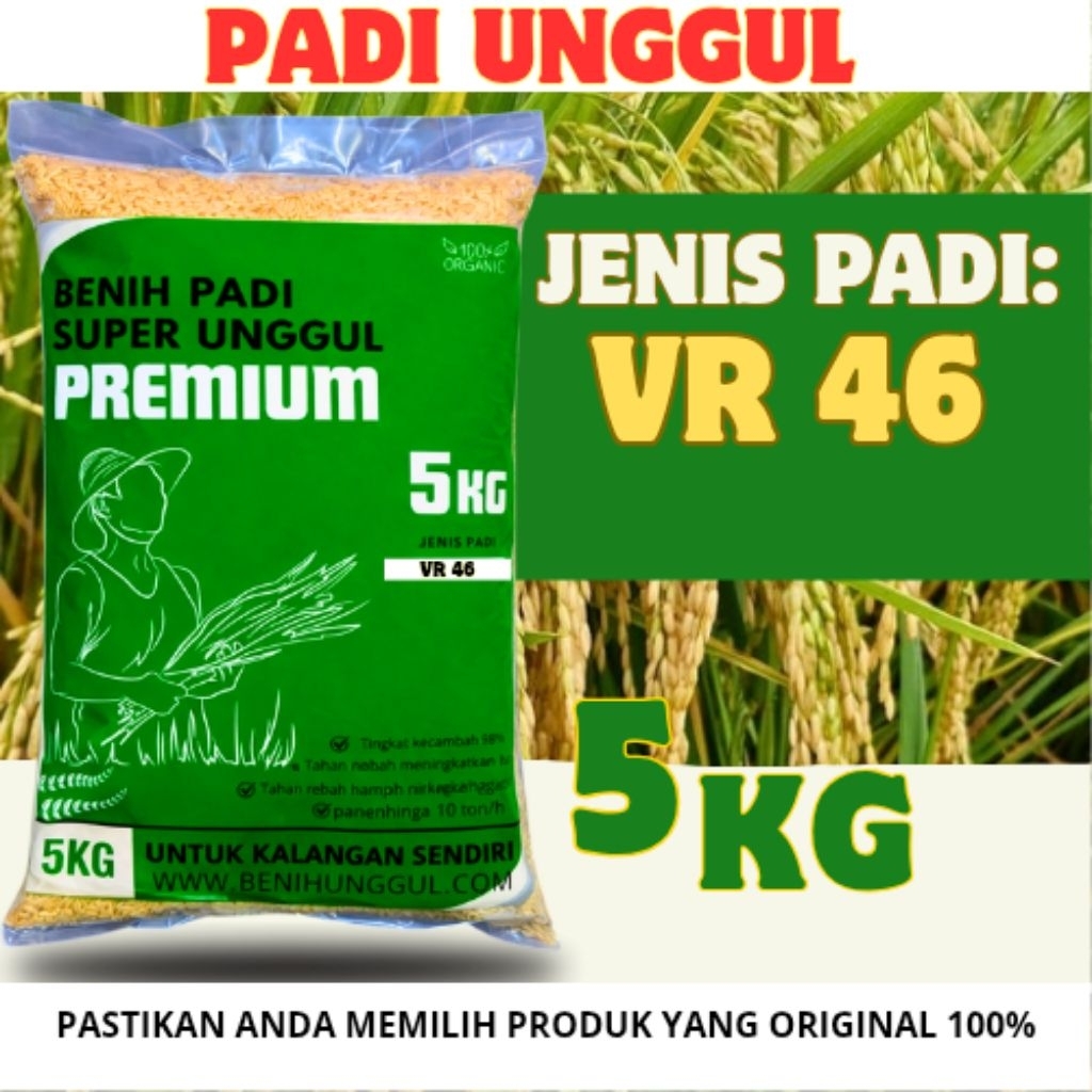 benih padi VR 46 veloz rice 46 5kg original