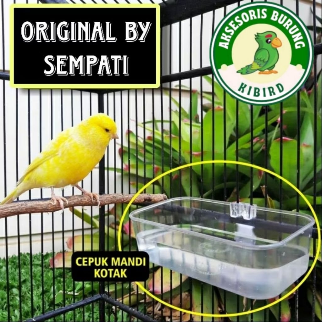 CEPUK MANDI SEMPATI BURUNG TEMPAT MAKAN MINUM LOVEBIRD