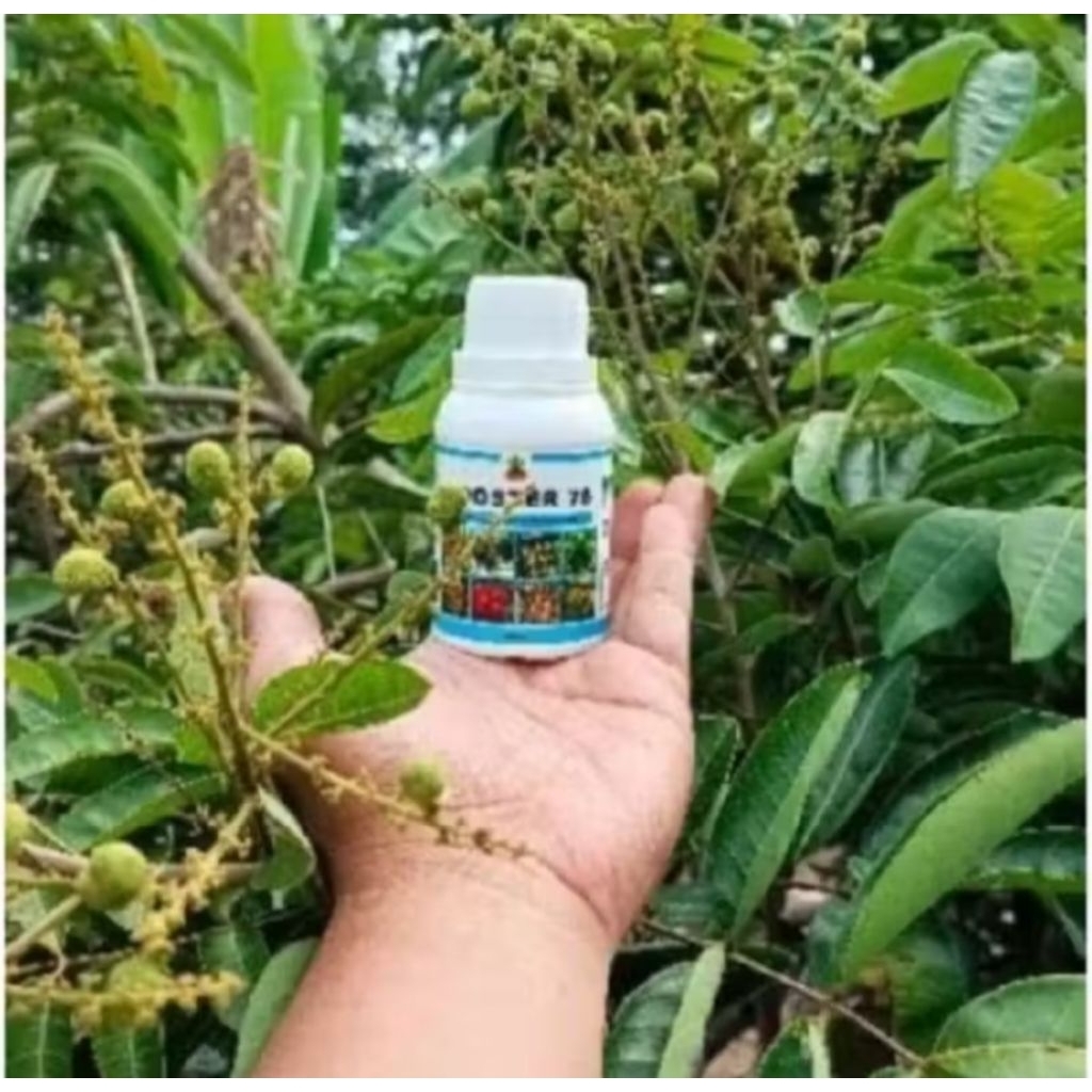 PUPUK Viral Boster 76 100 ml