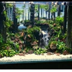 aquascape hardscape tema jungle waterfall