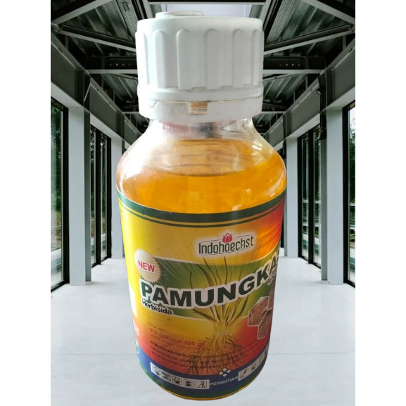 PAMUNGKAS 490SL Herbisida 500ml Mengendalikan Gulma Kelapa Sawit Glifosat