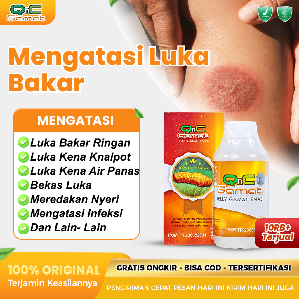 Qnc Jelly Gamat Obat Gatal Selangkangan Obat Oles Pengering Luka Garukan Di Selangkangan Gatal Di Al