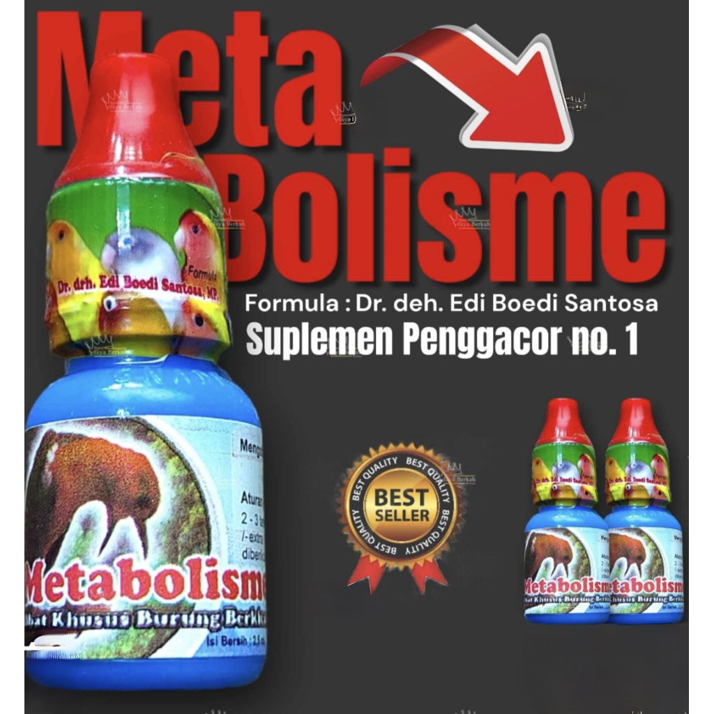 Metabolisme burung obat penggacor burung