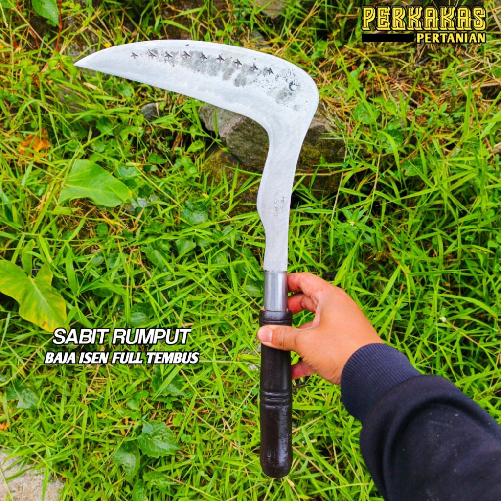 Arit longok asli baja isen asahan ngarit rumput super tajam