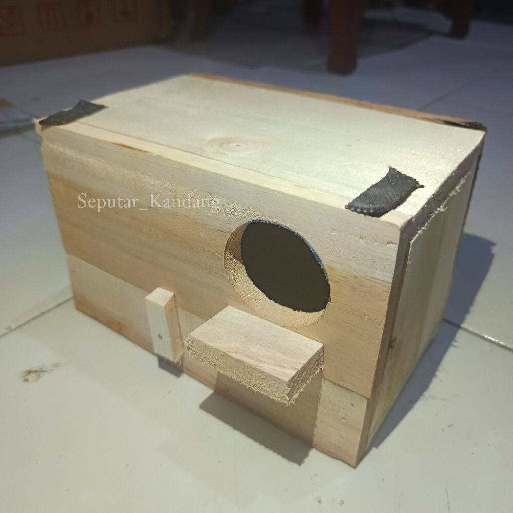 Glodok Parkit Kotak Lovebird Parkit Kenari || Glodok Kotak Lovebird Best Seller