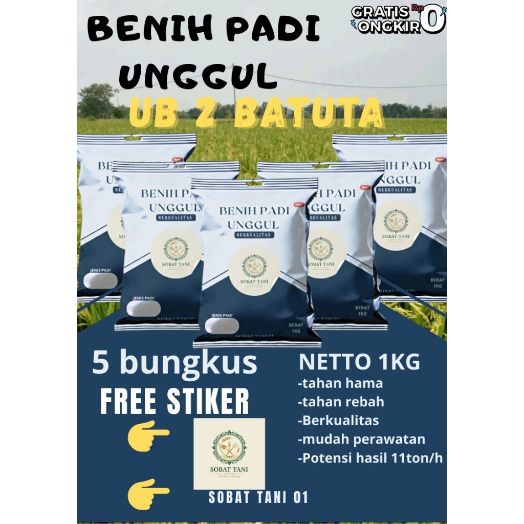 BENIH PADI UNGGUL UB2 BATUTA 5BKS KEMASAN 1KG 5BKS 5 KG BERKUALITAS ORIGINAL 100% PROMO TERBATAS