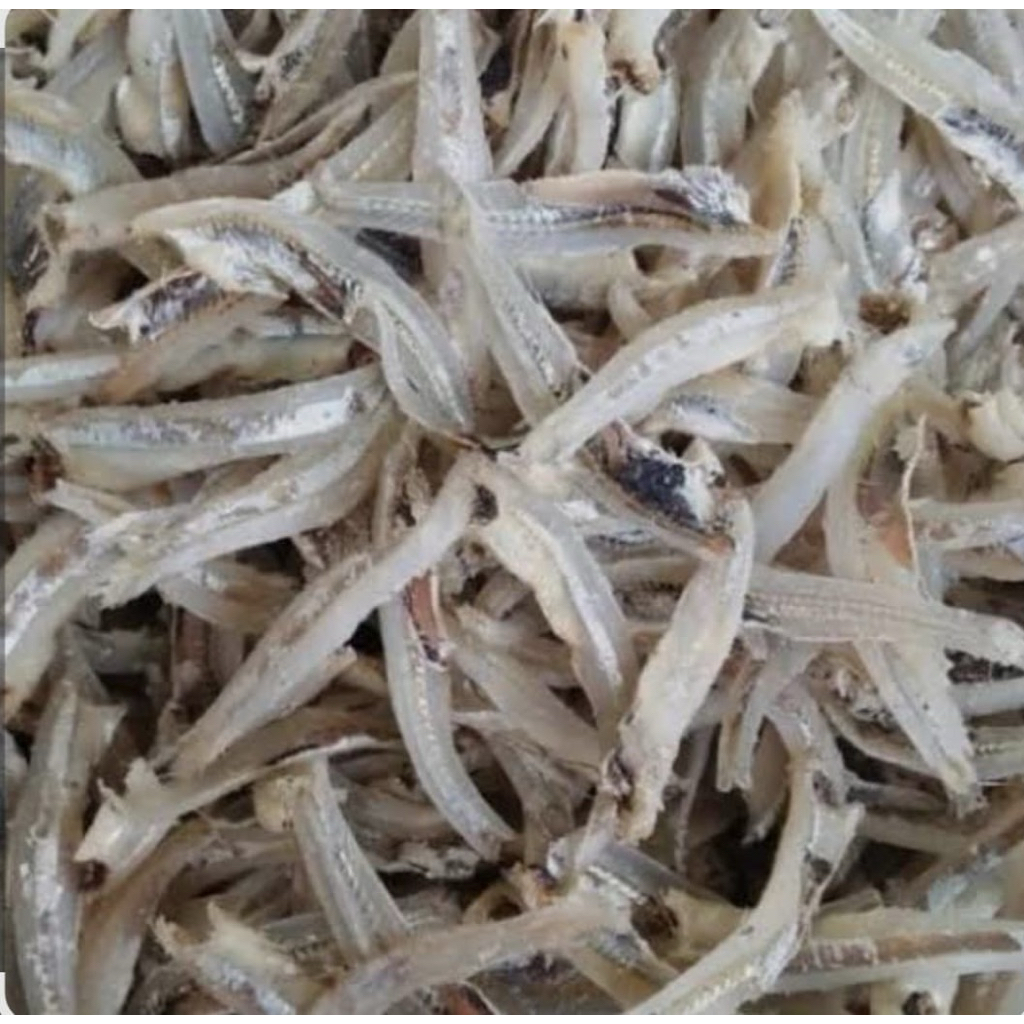 Ikan Teri Jengki Tanjung Balai