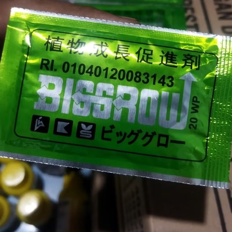 zpt pembesar buah big grow 5 gram teknologi kanesho jepang