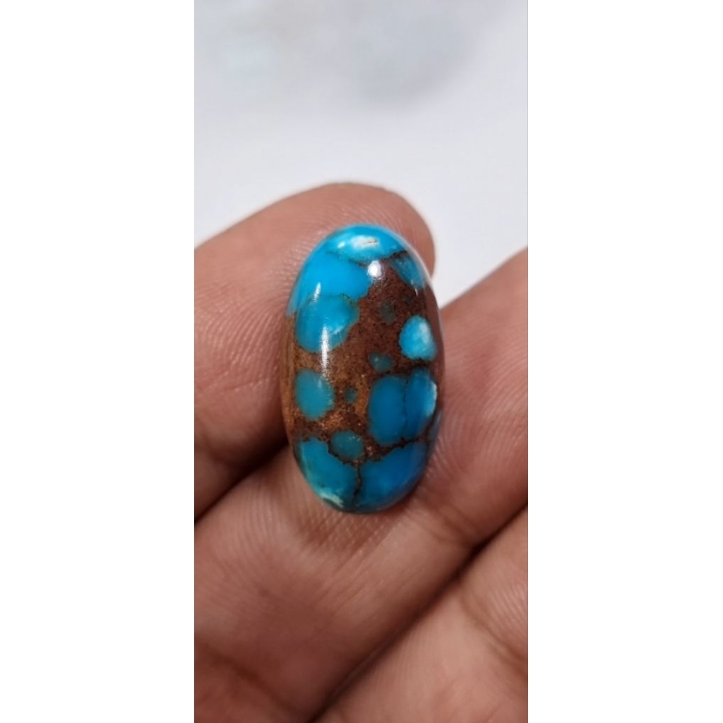 natural pirus mesir royal blue gradasi