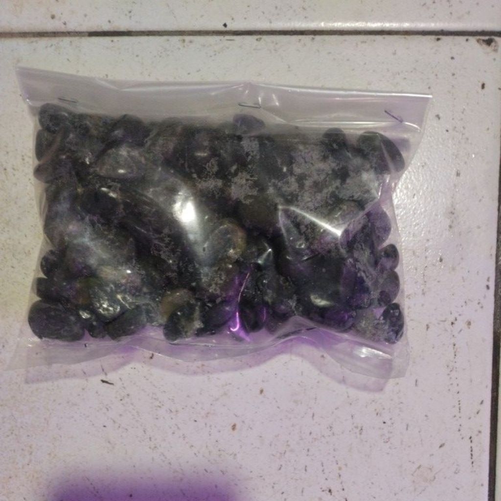 Koral hitam asesoris aquarium