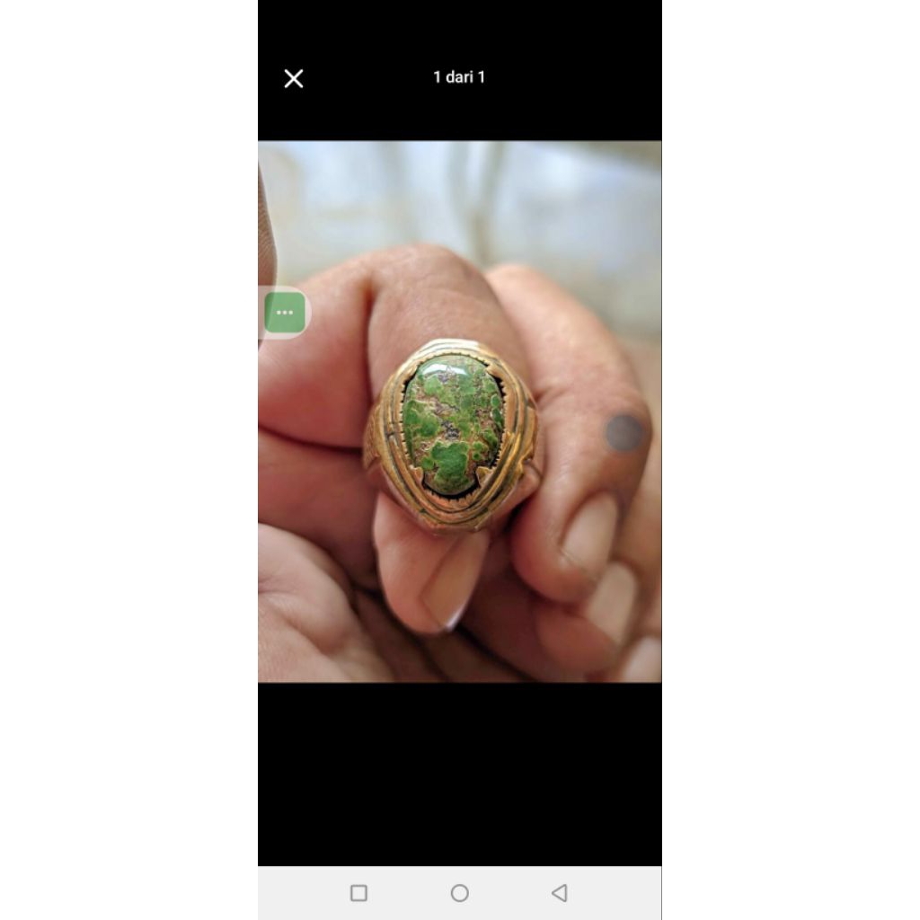 pirus persia hijau lawasan
