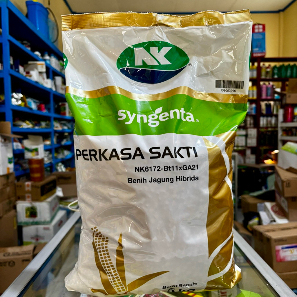 Benih Jagung Hibrida NK PERKASA SAKTI 5 Kg dari Syngenta - Bibit Jagung NK Perkasa Sakti - NK6172-Bt