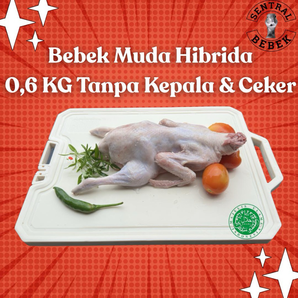 Daging Bebek / Bebek Hibrida 0.6 KG Utuh Atau Potong