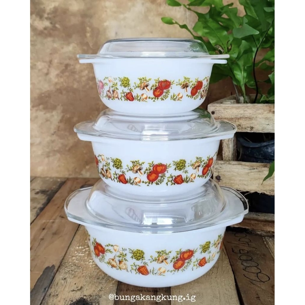 Casserole lids pyrex arcopal France spice of life