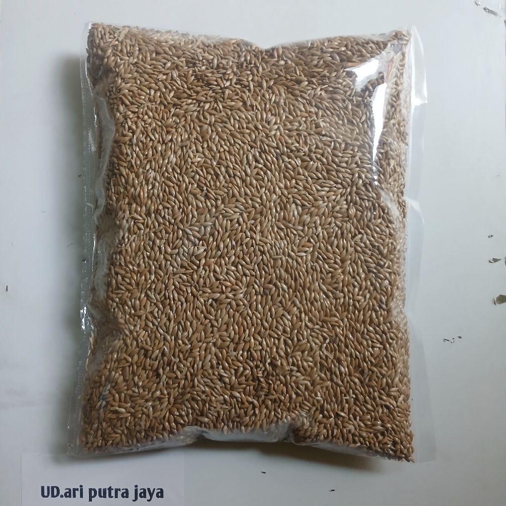PAKAN CANARY SEED POLOS CANARY SEED BERSIH 1KG MERK VITA